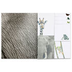 National Geographic Sticky Notes image number 2