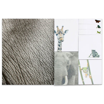 National Geographic Sticky Notes image number 2