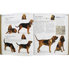 The Dog Encyclopedia image number 2