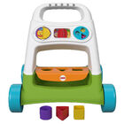 Fisher Price Busy Activity Walker image number 1