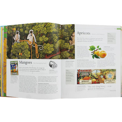 The Story of Food image number 2