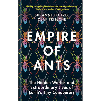 Empire of Ants image number 1