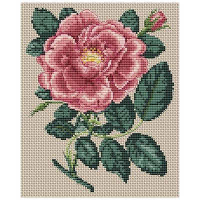 Floragenius Counted Cross Stitch Kit: Rose Damascena Grandiflora image number 2