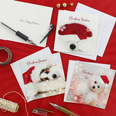 Cute Dogs Christmas Cards - Pack Of 20 image number 2
