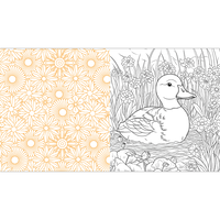 Spring is Here Colouring Book