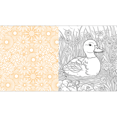 Spring is Here Colouring Book image number 2