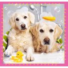 Cute Dogs 3-in-1 Jigsaw Puzzle image number 3