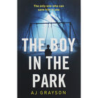 The Boy in the Park image number 1