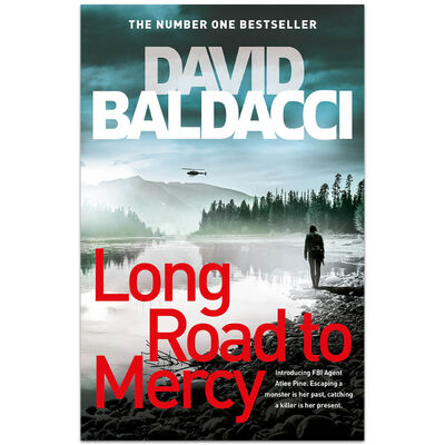 Long Road to Mercy image number 1