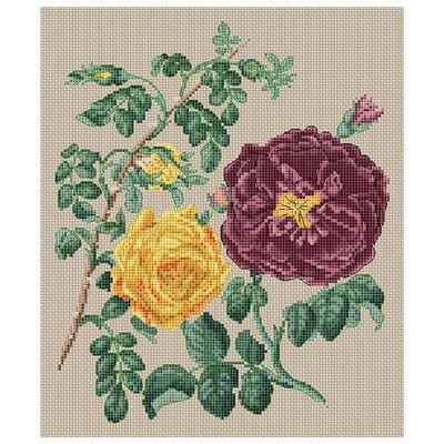 Floragenius Counted Cross Stitch Kit: Yellow Centifolia & Purple Roses image number 2