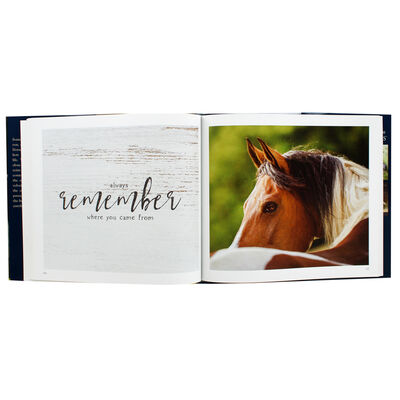 Horselife image number 2