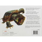 Sharks & Predators of the Deep image number 3