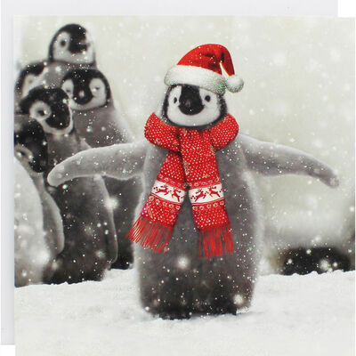 Penguin Christmas Cards: Pack Of 10 image number 1