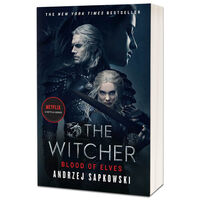 Blood of Elves: Witcher Book 1