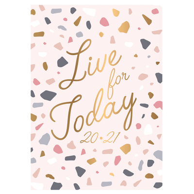 A5 Live for Today Day a Page 2020-21 Academic Diary image number 1