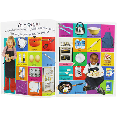 My World A First Word Book Welsh Version The Works