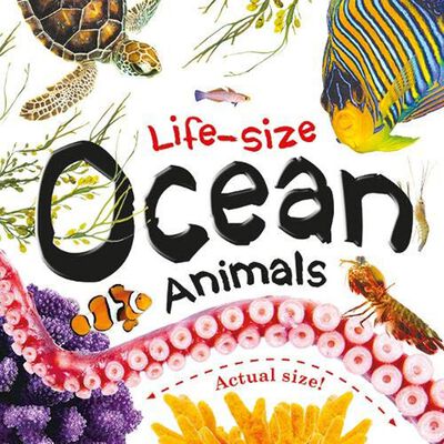 Life-Size Ocean Animals image number 1