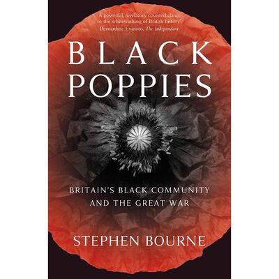 Black Poppies: Britain's Black Community and the Great War image number 1