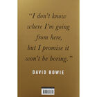 Hero: David Bowie image number 3