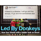 Led by Donkeys: How Four Friends with a Ladder Took on Brexit image number 1