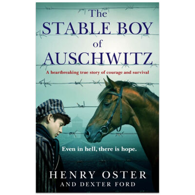 The Stable Boy of Auschwitz image number 1