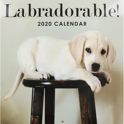 Labradorable 2020 Square Calendar image number 1