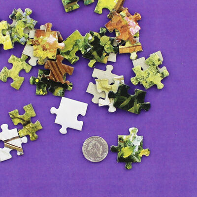 Doorstep Raiders 500 Piece Jigsaw Puzzle image number 3