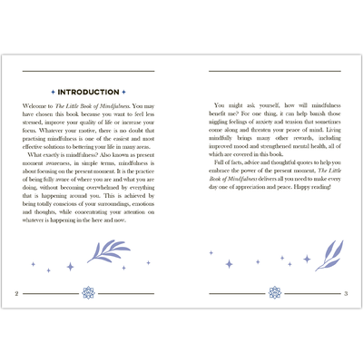 The Little Book Of Mindfulness image number 3