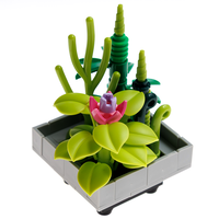 Blocks Succulents: Buckhorn Cholla