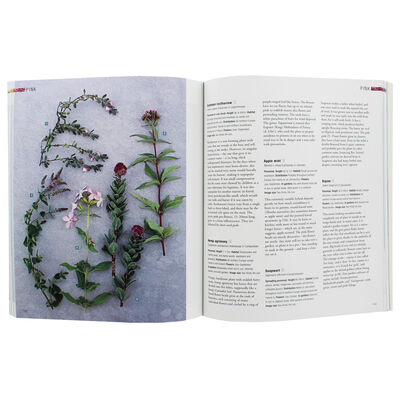 Wild Flowers of Britain and Ireland image number 2