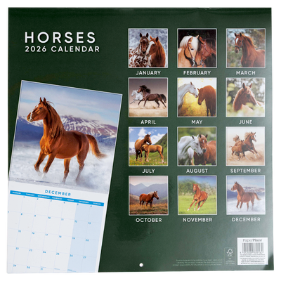 Horses 2026 Calendar & Diary Set image number 4