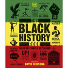 The Black History Book image number 1