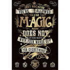 Harry Potter Magic Wall Poster image number 1