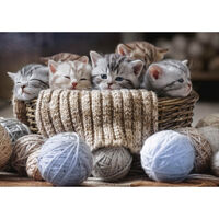 Cosy Kittens 1000 Piece Jigsaw Puzzle