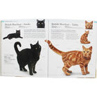 The Cat Encyclopedia image number 2
