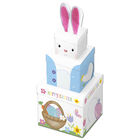 Easter Bunny Plush Box image number 1