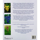 Wild Flowers of Britain and Ireland image number 4