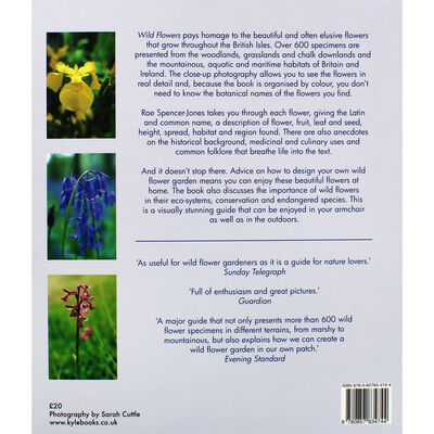 Wild Flowers of Britain and Ireland image number 4