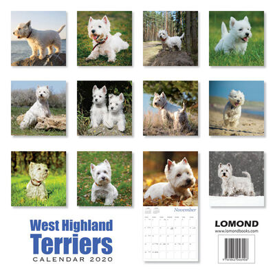 West Highland Terrier 2020 Square Calendar image number 2