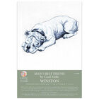 Man&rsquo;s Best Friend Cross Stitch Kit: Winston image number 1