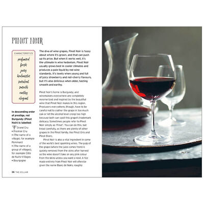 Wine: Everything You Ever Wanted to Know About Red, White, Rose & Fizz image number 2