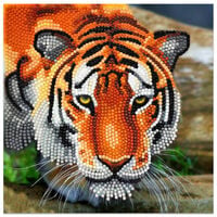 Tiger Crystal Art Card