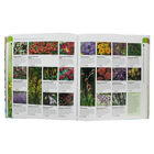 What Plant Where Encyclopedia image number 2