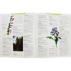 Encyclopedia of Herbal Medicine image number 2