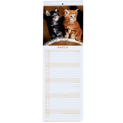 2026 Kittens Slim Calendar & Diary image number 4