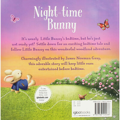 Night-Time Bunny image number 2
