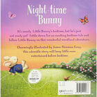 Night-Time Bunny image number 2