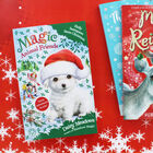 Magic Animal Friends: Holly Santapaws Saves Christmas image number 2