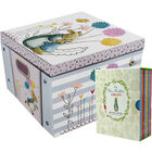 Peter Rabbit Library and Grey Striped Collapsible Storage Box Bundle image number 1