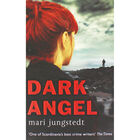 Dark Angel image number 1